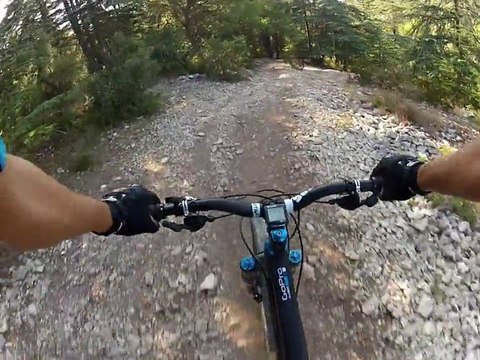 VTT Monts du Vaucluse
