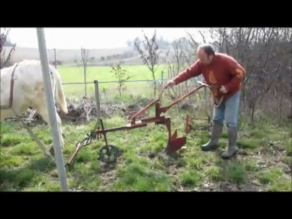 Traction animale, irrigation par goutte à goutte - PROMMATA