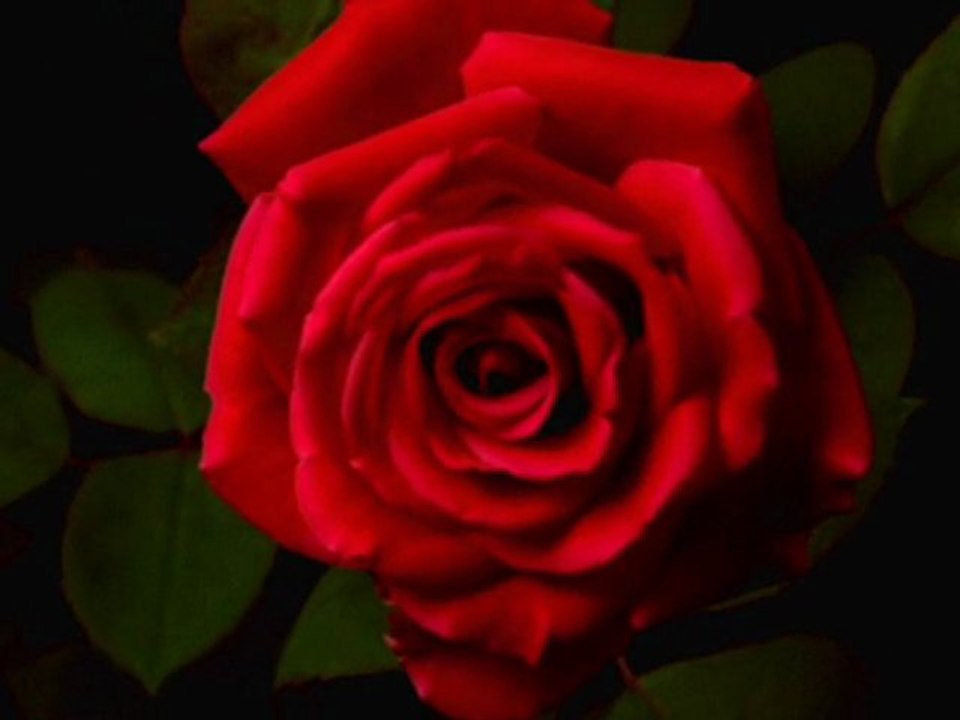 Adını Hasret Koy Hasret Kalayım( Şiir Gözlüm) (Y.JANUARY)