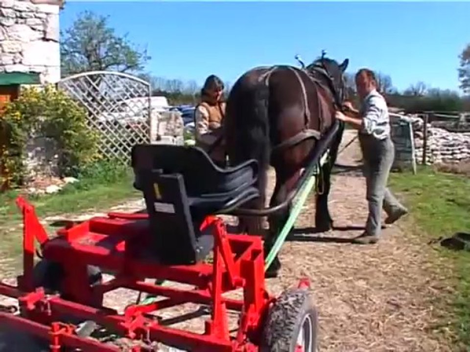Traction animale en agriculture - maraîchage (extraits 1)