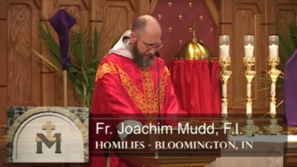 Mar 24 - Homily: Conforming to the Will of God