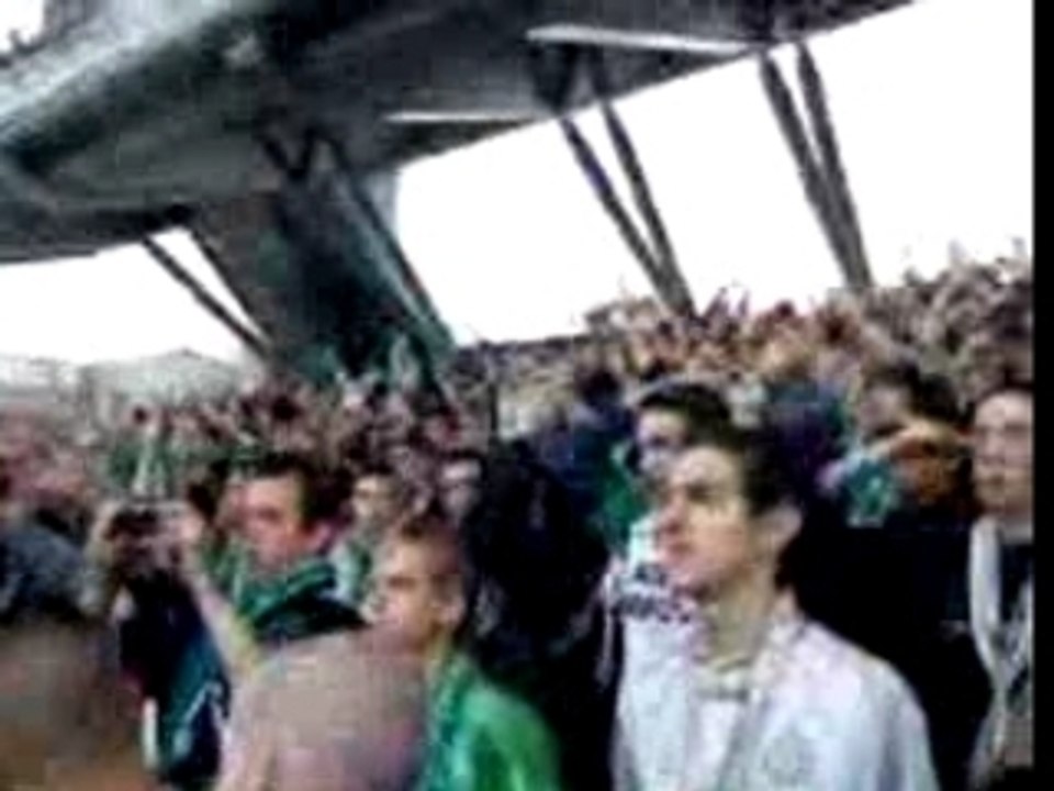 nous sommes les verts et blancs...