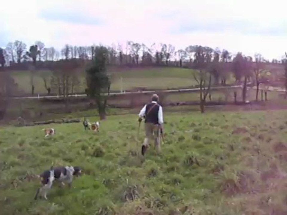 Vénerie du lièvre P : Démarrage du travail du deuxième défaut