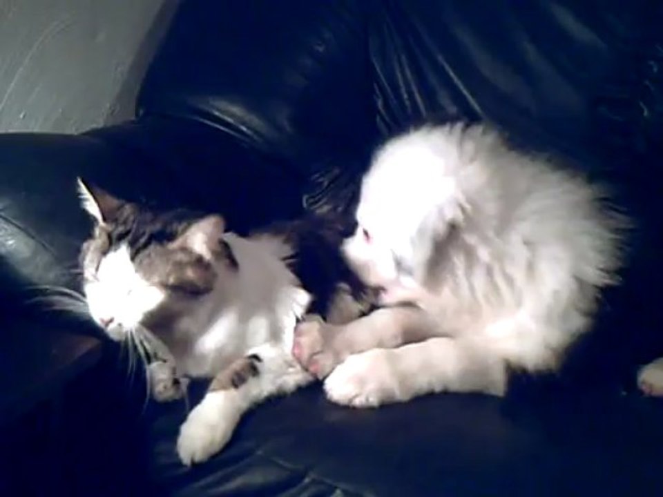 ah l'amour l'amour !!