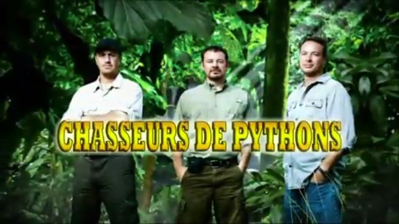 Chasseurs de Pythons - Lézards d'Australie (2013)