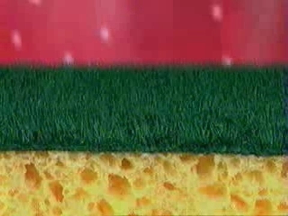 Spontex