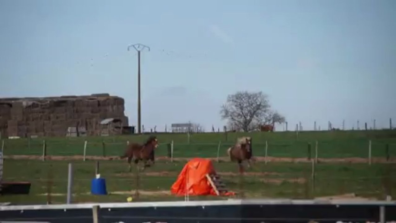 20130324172705