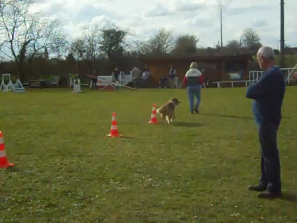 A.G.E.C. : exxercice d'obéissance .