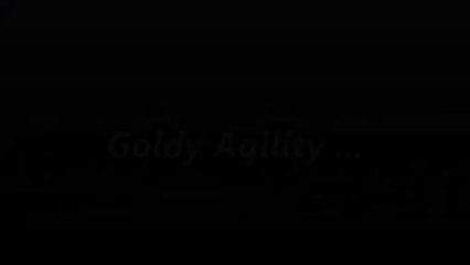 Goldy Agility 3
