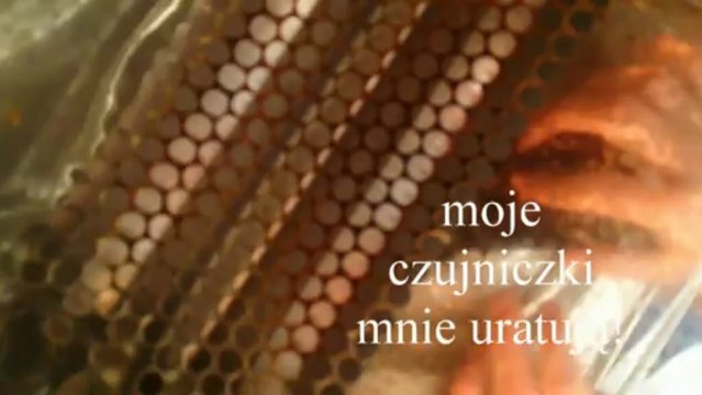 Testuj z Orange Sony Xperia Z Superagent