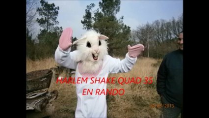 HARLEM SHAKE QUAD 35
