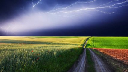 Overcast Skies by The Electric Trunk