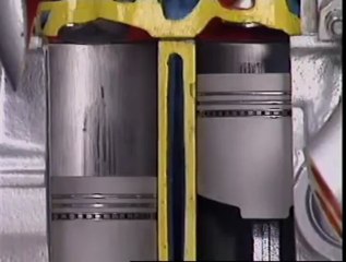 Spurt Holes & Galleries