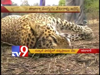 Hunters rise in Tiger zone Kavval