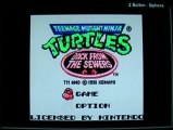 First Level - Test - Teenage Mutant Ninja Turtles II : Back From the Sewers - Gameboy