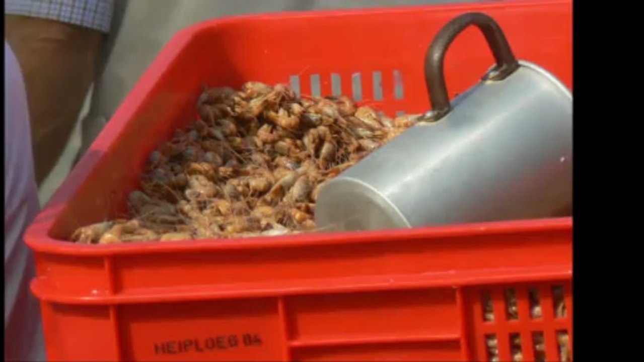 I love büsum ! teil 1