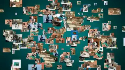 Cung cấp máy khuấy sơn, vữa, thạch cao cầm tay