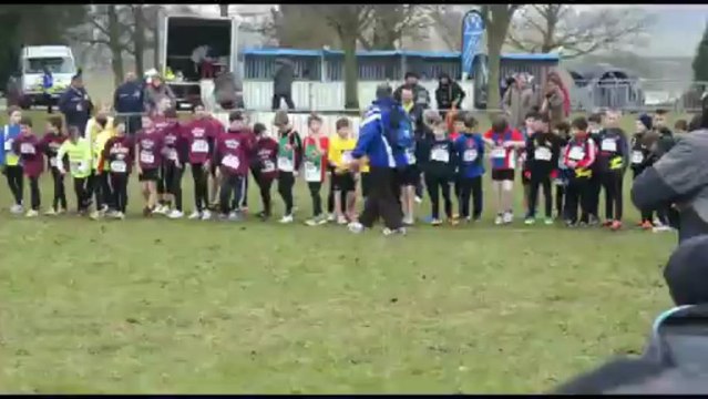 Les castels aux championnats de l'Aisne Poussins de cross 2013