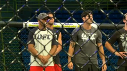 Divisão dos Times de Minotauro e Werdum: Quem Está em Qual Grupo? 🥋