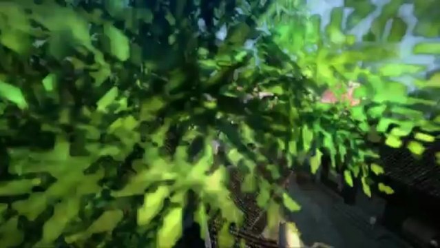 Acrobaties et combats aériens - Age of Wulin