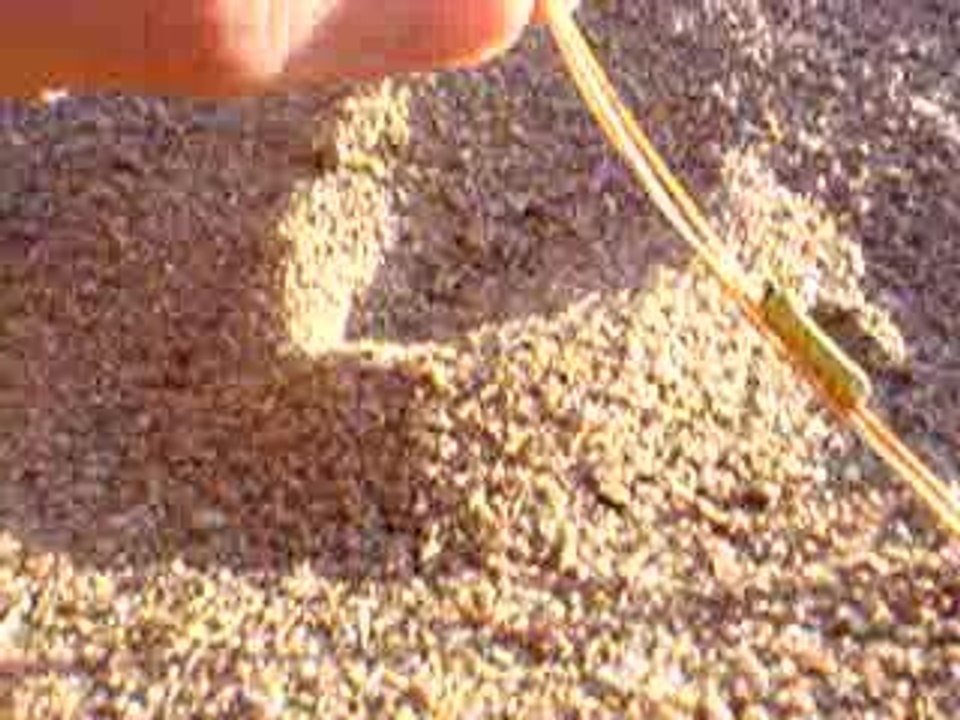 Chenille de plage