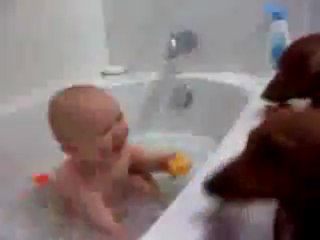 Adalberto Vazquez Gomez- Funny Video