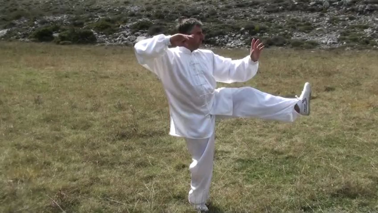 Tai Chi Chuan by Fred Pim 'Ecole tigre Blanc'