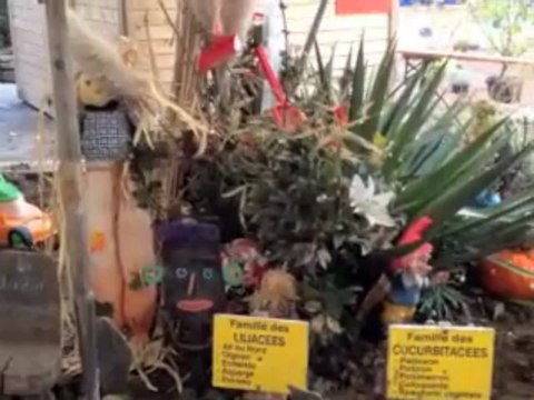 Aulnoye-Aymeries Rendez-vous des saveurs dimanche 24 mars