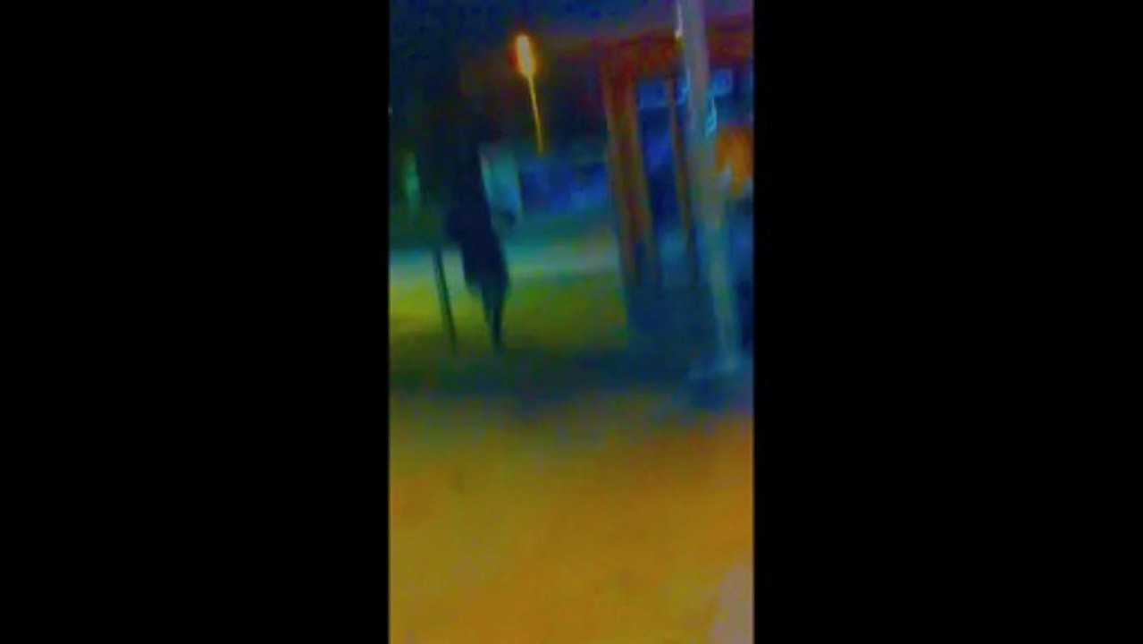 DAVID GALLEGO EXPERIENCE TU PENSES AVOIR UNE SITUATION REMIX CHEURS DE SIRENES