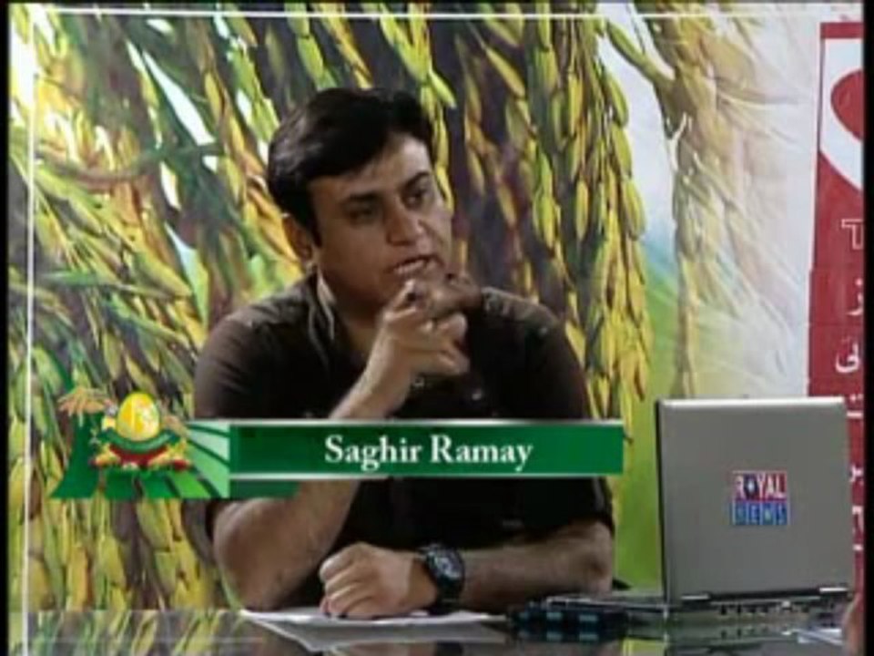 Zari Pandal With Saghir Ramay on Field Staff Role Part 02