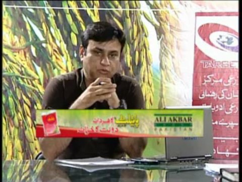 Zari Pandal With Saghir Ramay on Field Staff Role Part 03