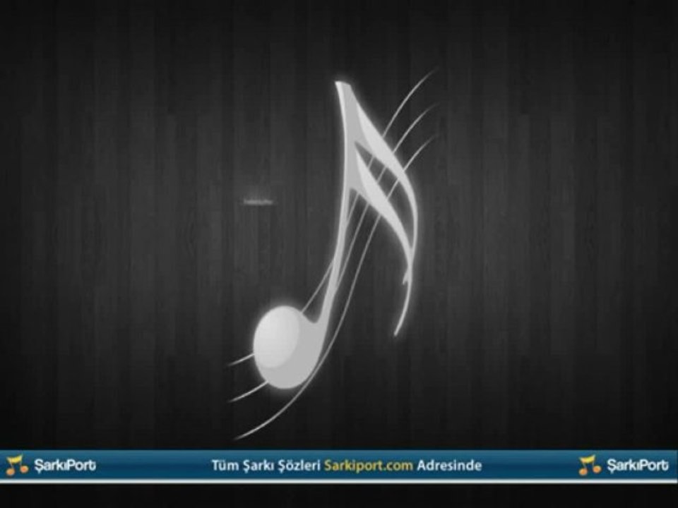 Şarkı Sözü Ekleme Programı