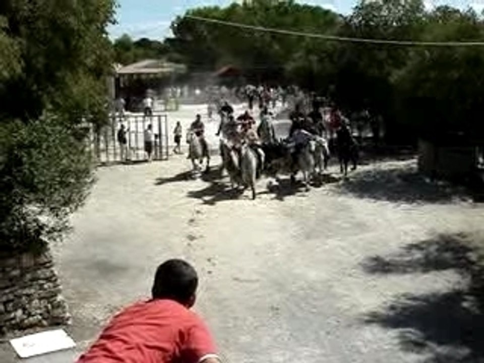 Asperes-0693
