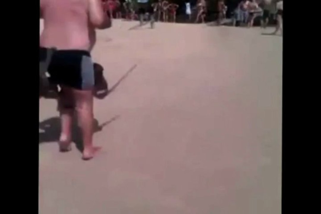 Old guy gets owned by monkeys van der putten
