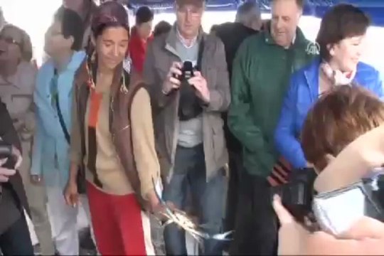 Caretta caretta ve mavi yengeç turu