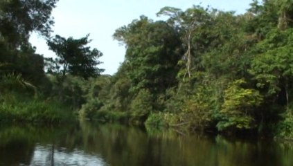 Pour une gestion efficace des Aires Protégées au Gabon