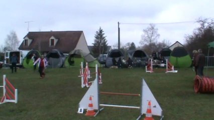 Danse 2è degré 24 03 2013 Chat