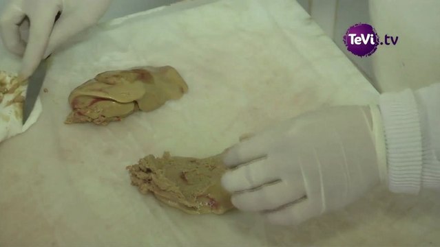 26 mars 2013 - Déveinage du foie gras