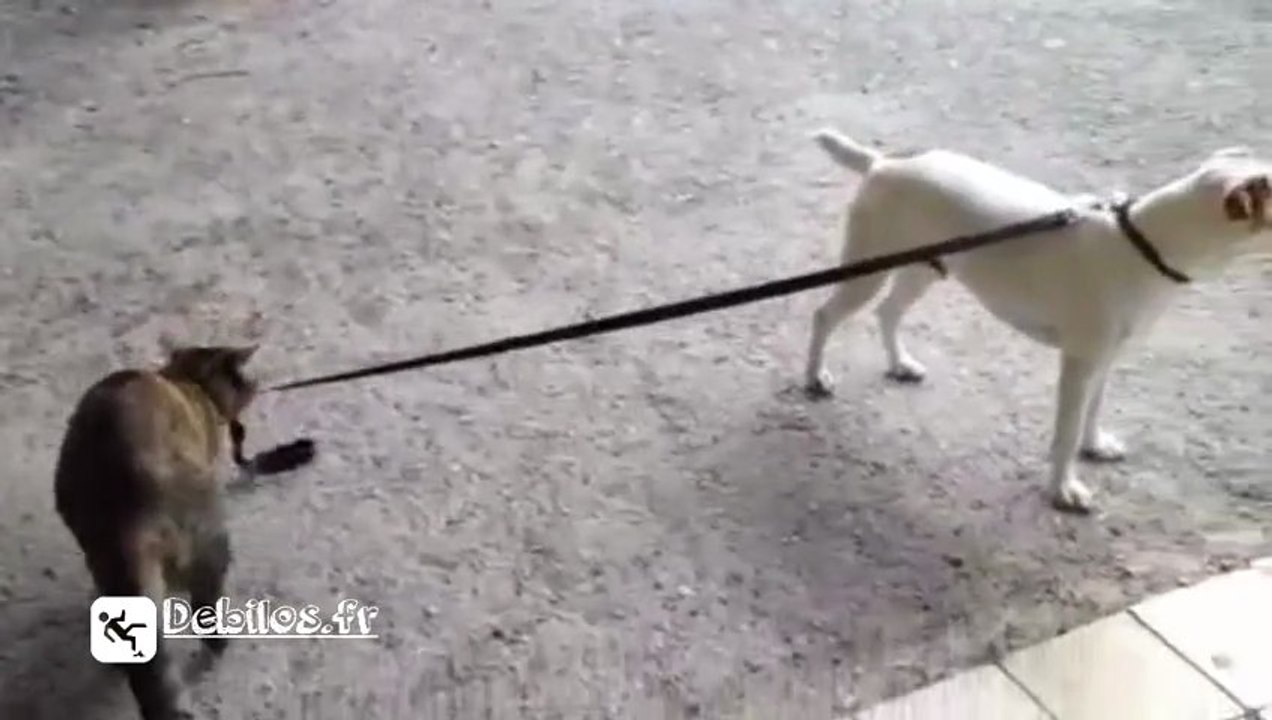 Allez hop la promenade est finie !
