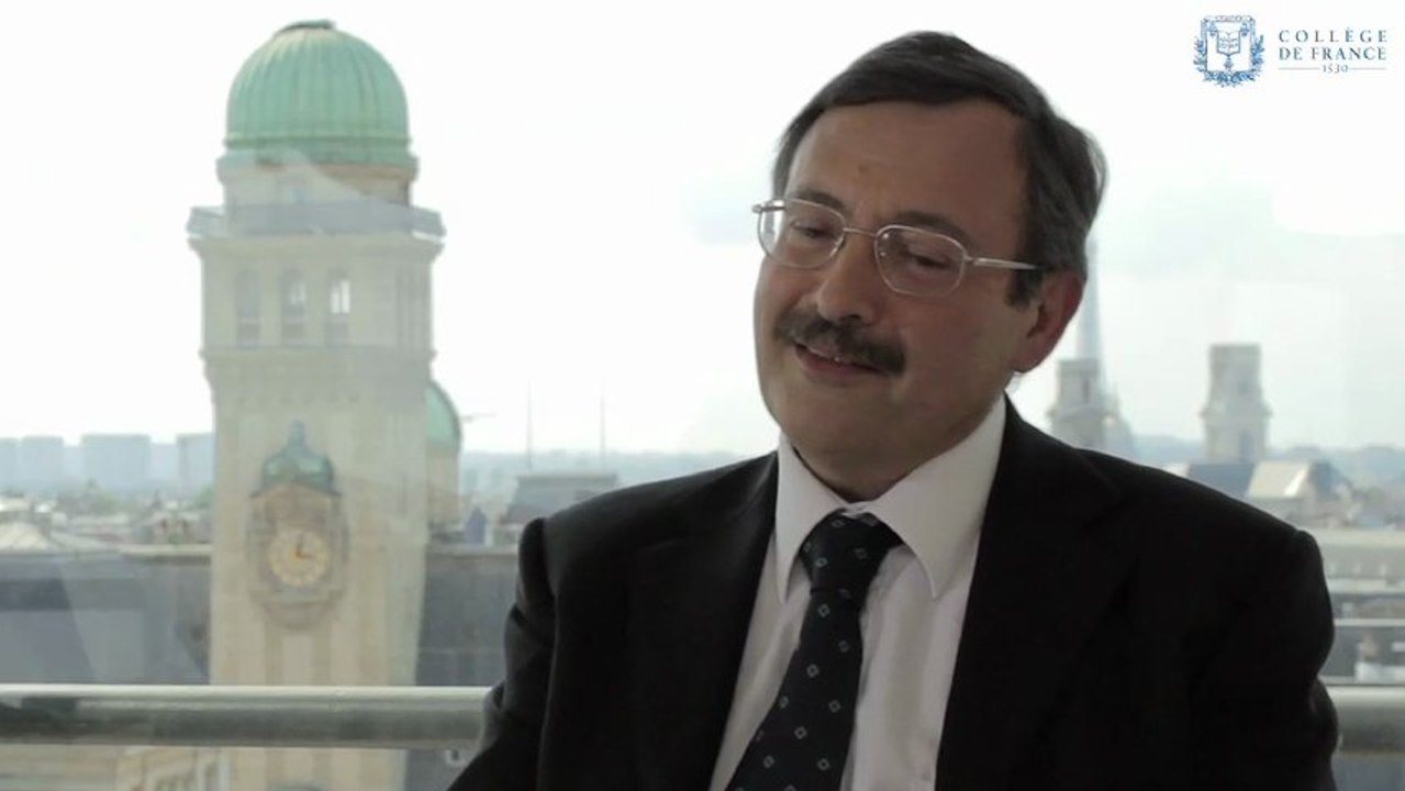 Méditerranée antique : L'archéologie de terrain contre les idées - Jean-Pierre Brunreçues