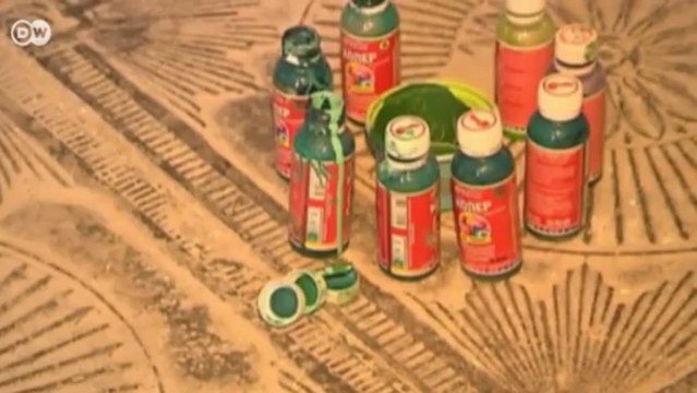 مراسلون حول العالم: العالم عبر شاشة DW | مراسلون حول العالم