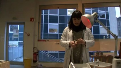 Le sténopé - De la fabrication au développement