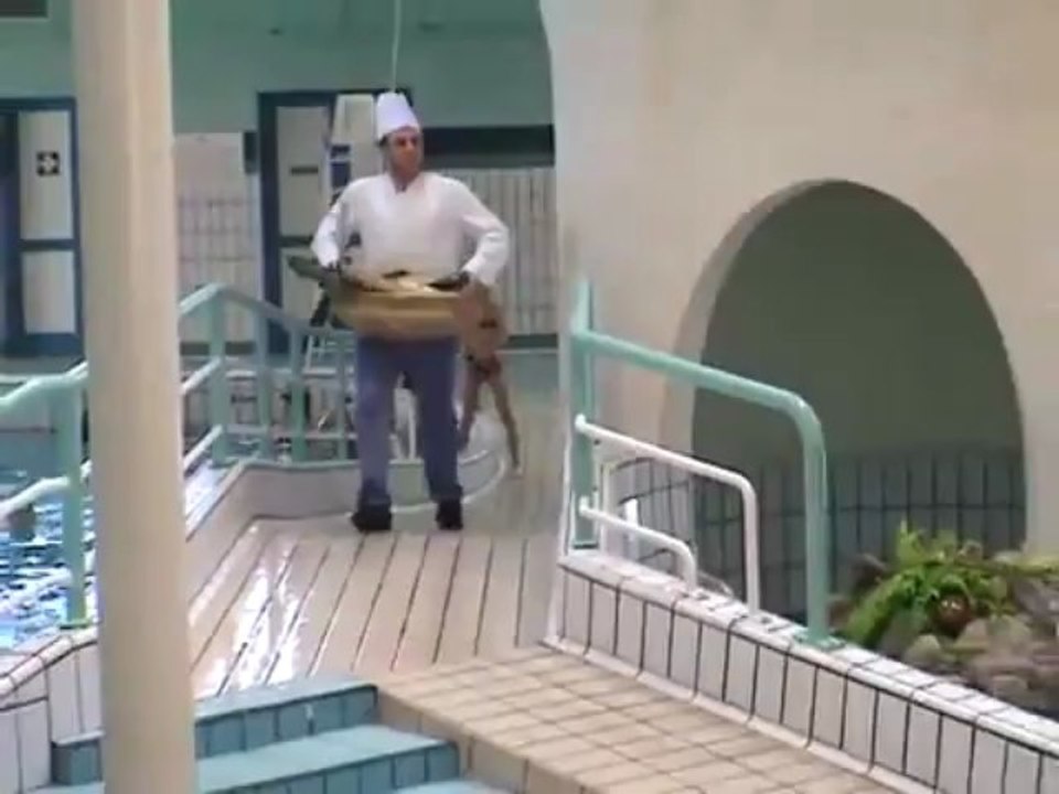CHEF (REMI GAILLARD)