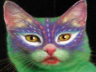 peinture sur chats