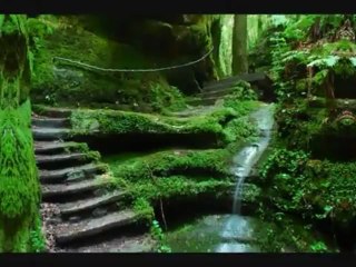 hulum yemikemesewena likemesewe yetegeba