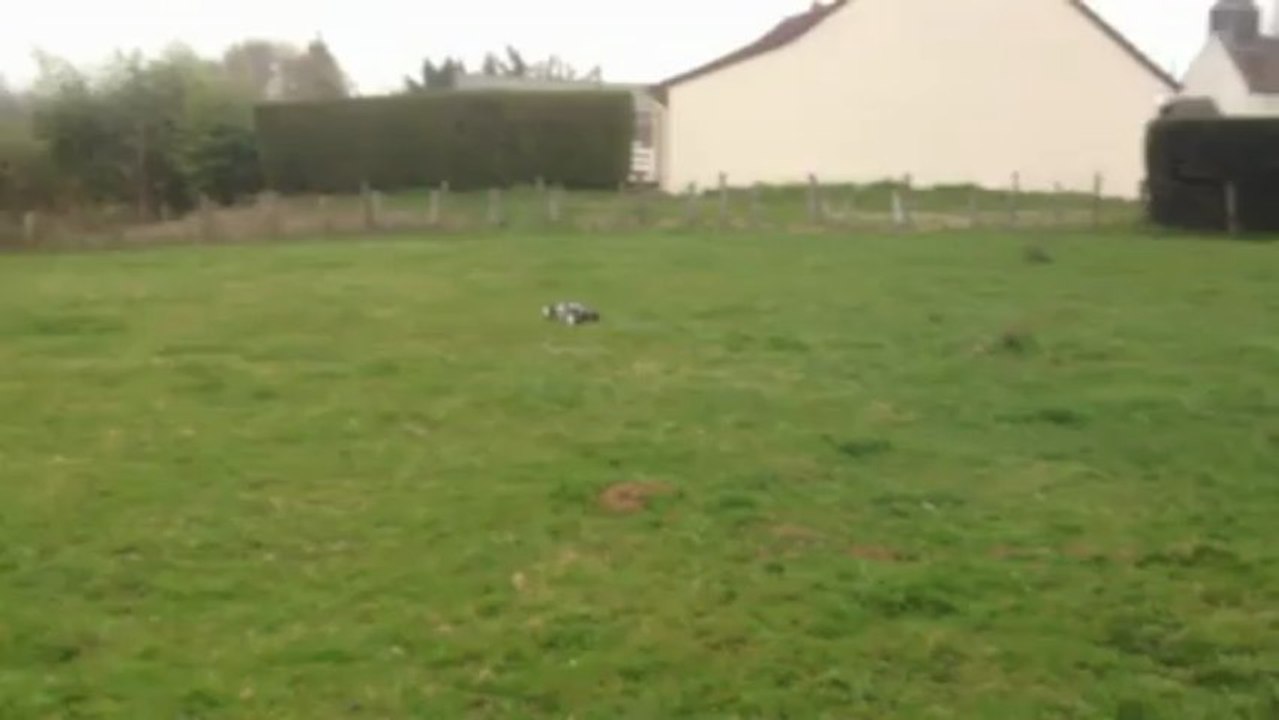 buggy 1/8 thermique 3