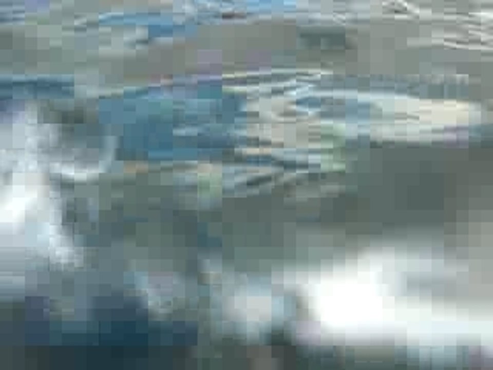 plongée vidéo sydney