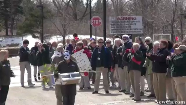 NewCa.com: 2013 Toronto Zoo: Pandas Arrive at the Toronto Zoo