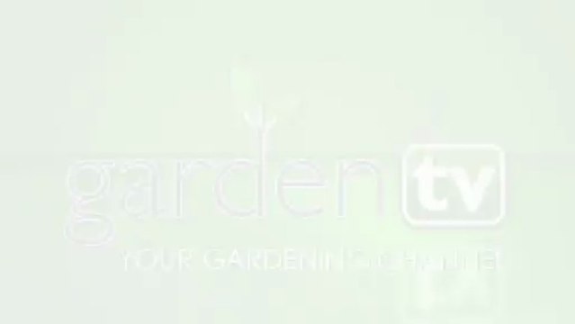 Sharon Gless, Celebrity Gardens, GardenTV.tv, Night of 100 Stars, Oscars Viewing Party