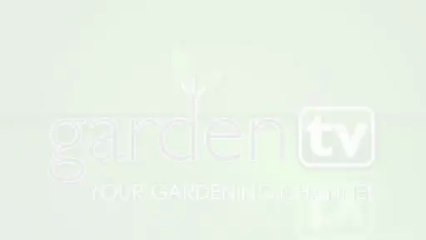 Sharon Gless, Celebrity Gardens, GardenTV.tv, Night of 100 Stars, Oscars Viewing Party